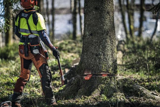 WEDGE FELLING 8"