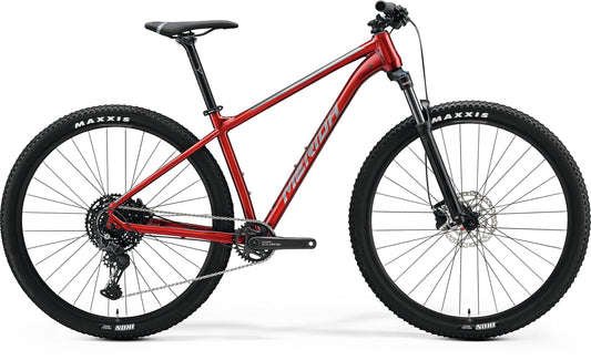Cykel BIG.NINE 200
